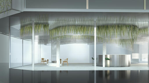 The White Garden