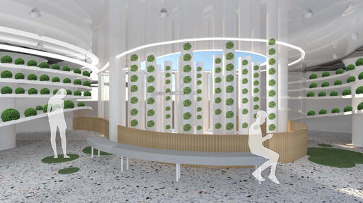 Hydroponic Garden